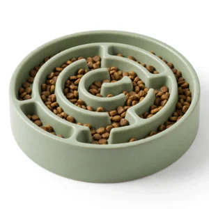 Slow Feeder Bowl